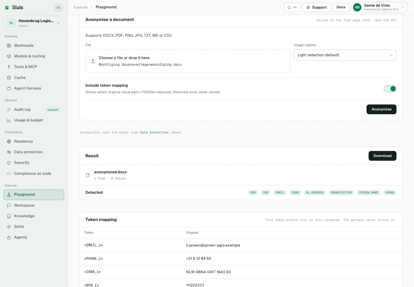 Playground Documents: upload a document for anonymization.